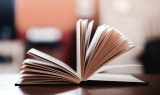 深圳航空有限公司 深圳航空有限公司