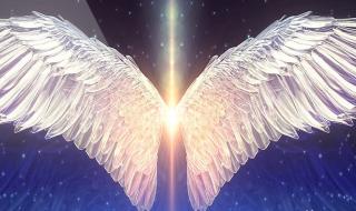 天使的翅膀吉他弹唱