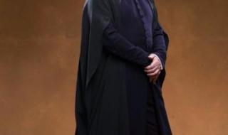 斯内普小天狼星 斯内普小天狼星