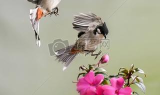 QQ空间自定义背景图片怎么弄成全屏 QQ空间图像