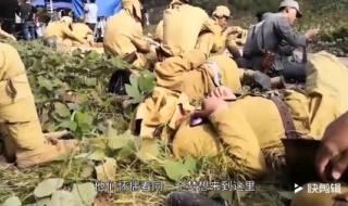 横店影视城群众演员