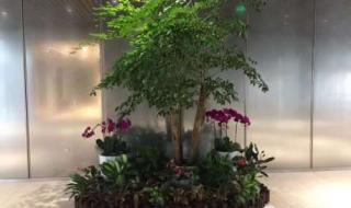 写字楼租赁推广 写字楼租赁推广