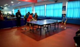 2021年乒乓球八大杯赛程 2021斯洛文尼亚乒乓球比赛冠军